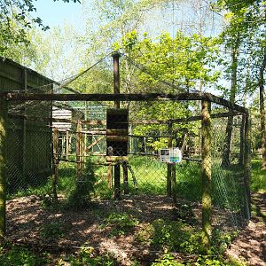 Tawny frogmouth aviary, 2023-05-19