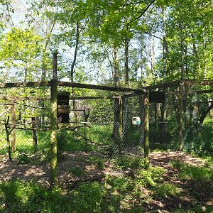 Tawny frogmouth and Philippine Scops owl aviaries, 2023-05-19