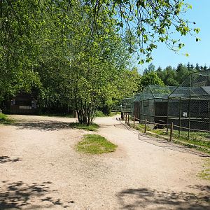 View in raptor area, 2023-05-19