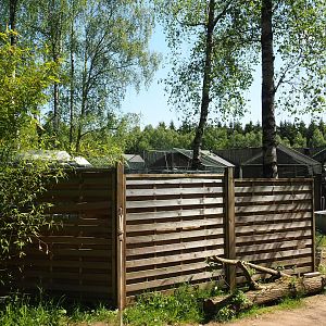 Off-show raptor area, 2023-05-19