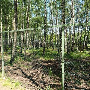 Eurasian moose paddock, 2023-05-19