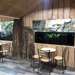 Australian Tanks at Hamerton Zoo Park (October 2023)