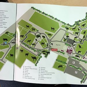 Map of Hamerton Zoo Park (October 2023)