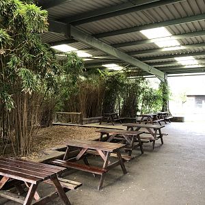 Picnic Area at Hamerton Zoo Park (October 2023)