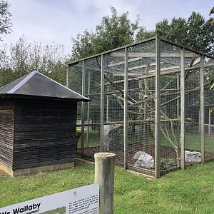 Collared Lemur Enclosure at Hamerton Zoo Park (October 2023)