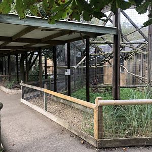 View Towards White-bearded Palm Civet and Ring-tailed Lemur Enclosures at Hamerton Zoo Park (October 2023)