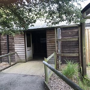 Lemur/Possum/Civet House at Hamerton Zoo Park (October 2023)