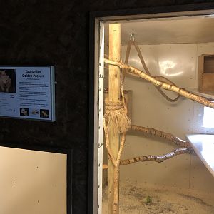 Tasmanian Golden Possum Indoor Enclosure at Hamerton Zoo Park (October 2023)