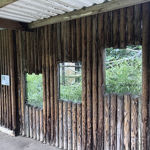 Cotton-top Tamarin Enclosure at Hamerton Zoo Park (October 2023)