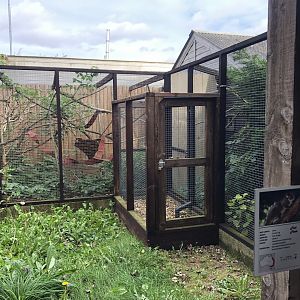 Ringtail Possum Enclosure at Hamerton Zoo Park (October 2023)