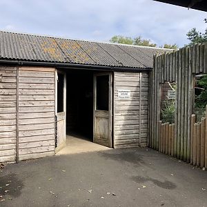 Tamarin/Goeldi's Monkey/Possum House at Hamerton Zoo Park (October 2023)