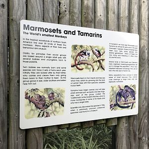 Marmosets and Tamarins Signage at Hamerton Zoo Park (October 2023)