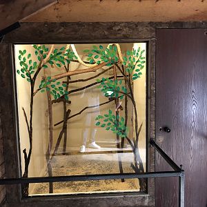 Cotton-top Tamarin Indoor Enclosure at Hamerton Zoo Park (October 2023)