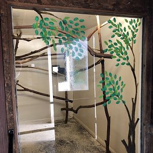 Red-bellied Tamarin Indoor Enclosure at Hamerton Zoo Park (October 2023)