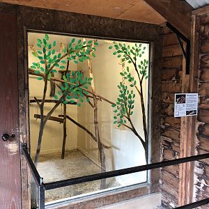 Ringtail Possum Indoor Enclosure at Hamerton Zoo Park (October 2023)