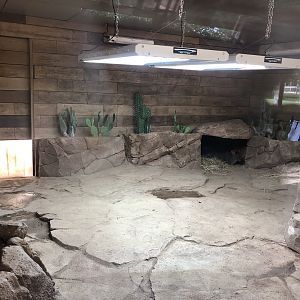 African Spurred Tortoise Indoor Enclosure at Hamerton Zoo Park (October 2023)