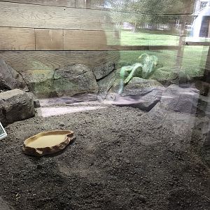 Part of the African Spurred Tortoise Indoor Enclosure at Hamerton Zoo Park (October 2023)