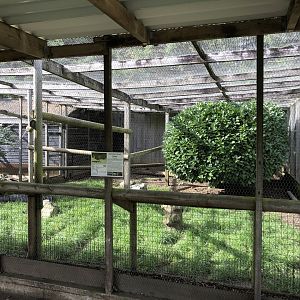 Australian Brushturkey / Long-nosed Potaroo Enclosure at Hamerton Zoo Park (October 2023)