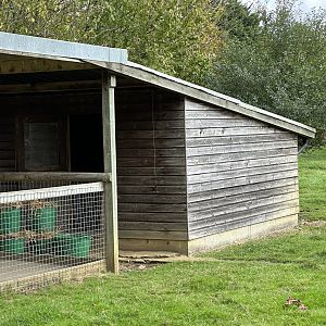 Wallaby Housing at Hamerton Zoo Park (October 2023)