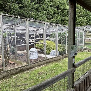 Row of Enclosures at Hamerton Zoo Park (October 2023)