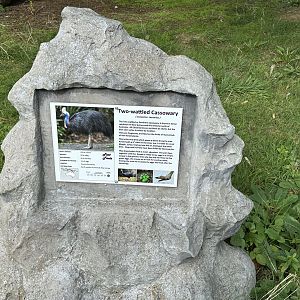 Southern Cassowary Signage at Hamerton Zoo Park (October 2023)