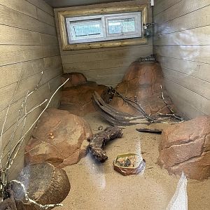 Spinifex Hopping Mouse Enclosure at Hamerton Zoo Park (October 2023)
