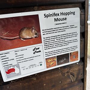Spinifex Hopping Mouse Signage at Hamerton Zoo Park (October 2023)