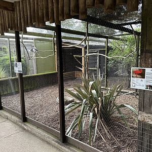 Row of Aviaries at Hamerton Zoo Park (October 2023)