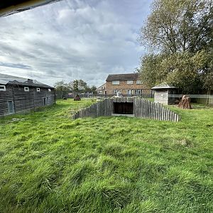 Giant Anteater Enclosure at Hamerton Zoo Park (October 2023)