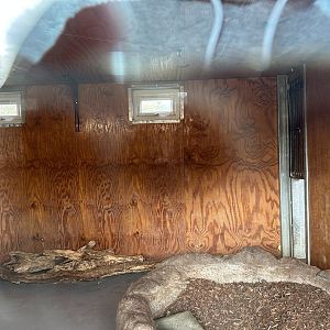 Giant Anteater Indoor Enclosure at Hamerton Zoo Park (October 2023)