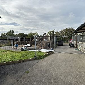 Meerkat Mountain (?) Construction at Hamerton Zoo Park (October 2023)
