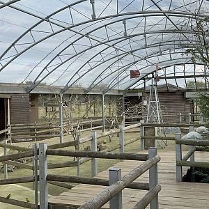 Outback Aviary at Hamerton Zoo Park (October 2023)
