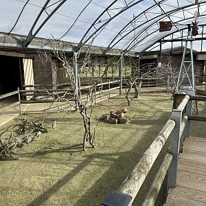 Outback Aviary at Hamerton Zoo Park (October 2023)