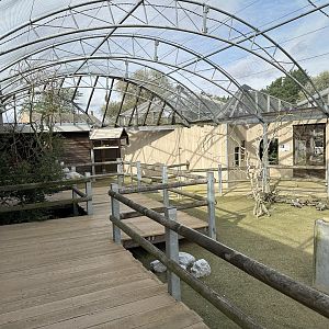 Outback Aviary at Hamerton Zoo Park (October 2023)
