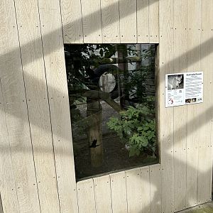 Brushtail Possum Enclosure at Hamerton Zoo Park (October 2023)