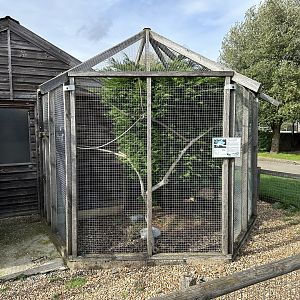 Squirrel Glider Enclosure at Hamerton Zoo Park (October 2023)