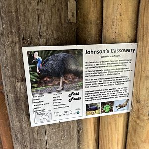 Johnson's Cassowary Signage at Hamerton Zoo Park (October 2023)