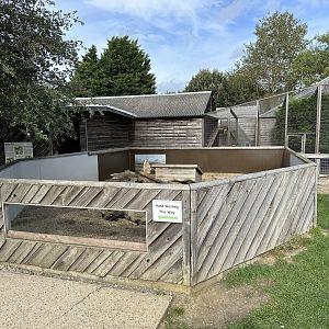 Meerkat Enclosure at Hamerton Zoo Park (October 2023)