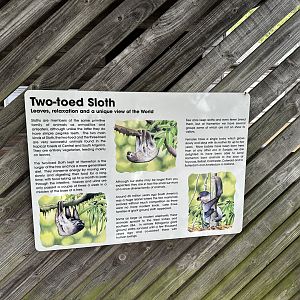Two-toed Sloth Signage at Hamerton Zoo Park (October 2023)