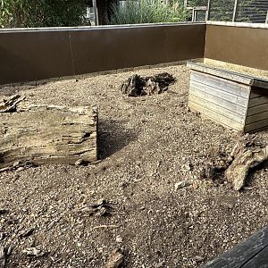 Meerkat Enclosure at Hamerton Zoo Park (October 2023)