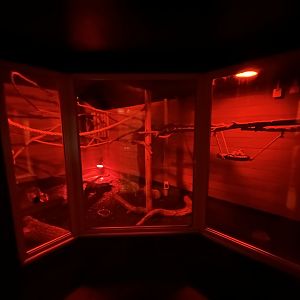 Linnaeus' Two-toed Sloth Enclosure at Hamerton Zoo Park (October 2023)