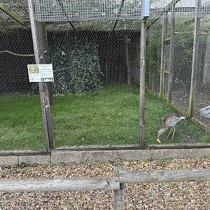 Crested Seriema Enclosure at Hamerton Zoo Park (October 2023)