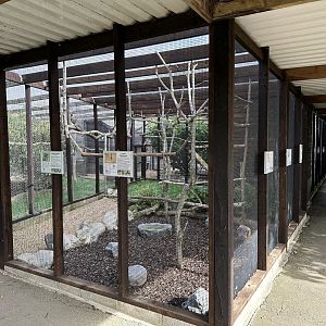 Row of Aviaries at Hamerton Zoo Park (October 2023)