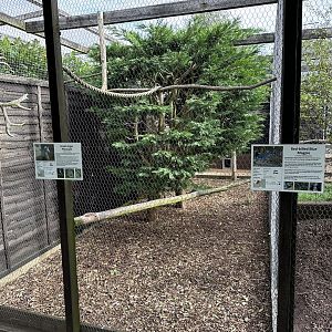 Great Argus Pheasant / Red-billed Blue Magpie Enclosure at Hamerton Zoo Park (October 2023)