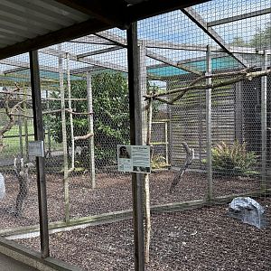 Brown Wood Owl Enclosure at Hamerton Zoo Park (October 2023)