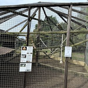 Possum / Bettong Enclosure at Hamerton Zoo Park (October 2023)