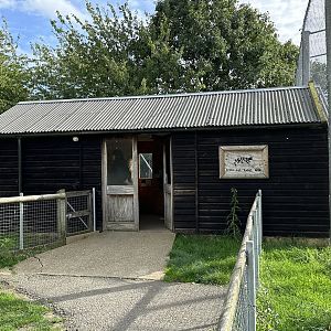 Reptile & Rodent House at Hamerton Zoo Park (October 2023)