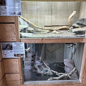 Egyptian Tortoise / Black-headed Python Enclosures at Hamerton Zoo Park (October 2023)