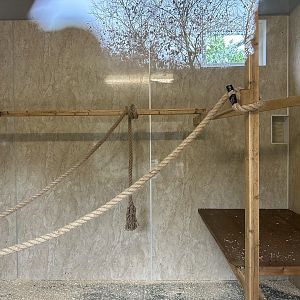 Collared Lemur Indoor Enclosure at Hamerton Zoo Park (October 2023)