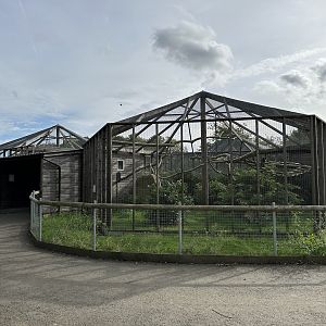 Collared Lemur Enclosure at Hamerton Zoo Park (October 2023)